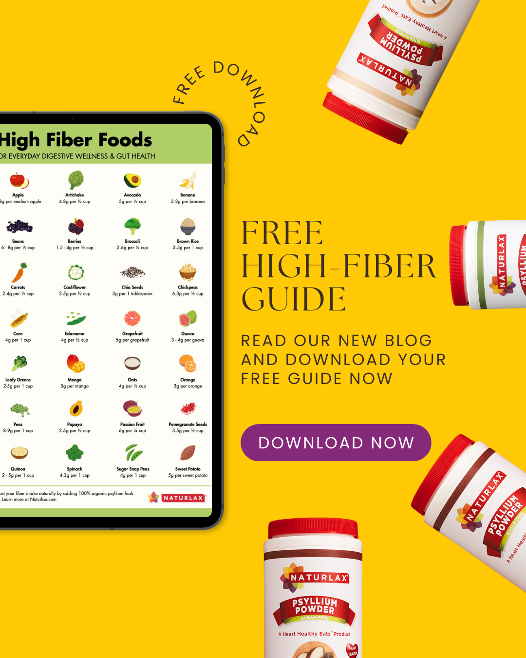 A 2026 Visual Guide to Digestive Wellness (Download This Fiber-Rich Foods List PDF File!)