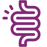 <strong>Everyday Digestive Wellness & Gut Health</strong>